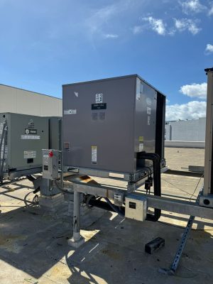 WhatsApp Image 2024-04-02 at 4.44.00 p. m.